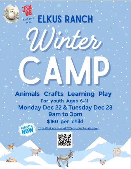 Elkus Winter Camp
