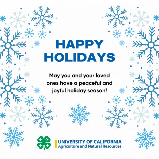 Happy Holidays office closure