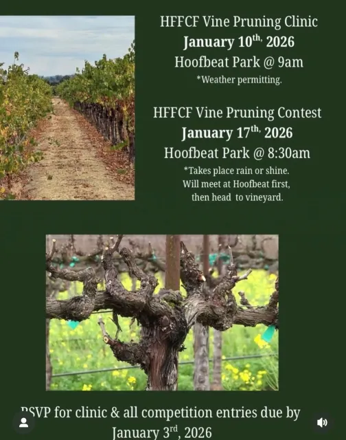 HFFCF Vine Pruning.jpg