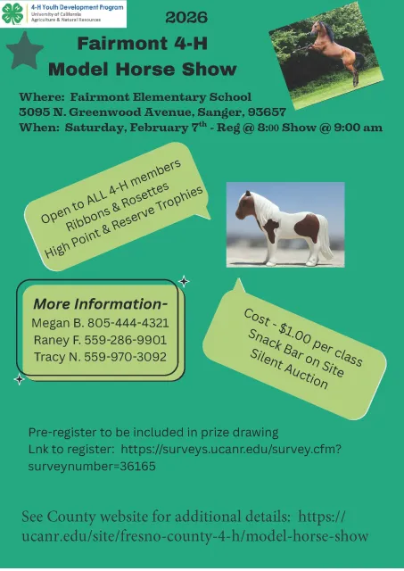 Model Horse Show Flyer 2026