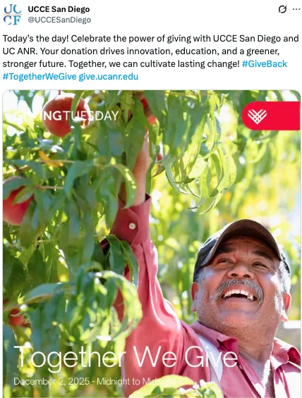 A man reaches into a tree to pick fruit. Text: Today’s the day! Celebrate the power of giving with UCCE San Diego and UC ANR. Your donation drives innovation, education, and a greener, stronger future. Together, we can cultivate lasting change! #GiveBack #TogetherWeGive http://give.ucanr.edu