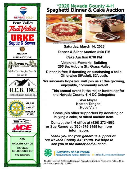 Spaghetti Dinner and Cake Auction Invitation