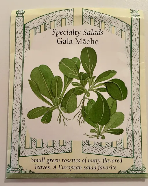 ache matures as small rosettes with nutty-flavored leaves. It is slow to germinate and should be kept moist, taking 2-4 weeks to show. It is planted from fall to early spring in areas with mild winters such as Alameda county.
