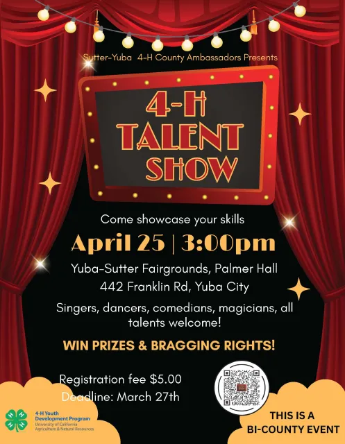 4-H Talent Show 2026