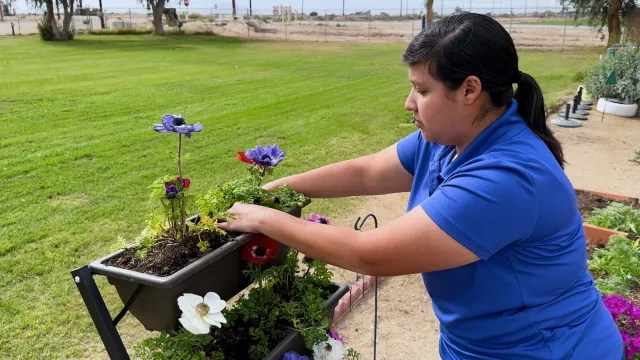 Mariana González Castro, supervisora de educación comunitaria de UC ANR, plantando flores e inspirando a nuevas generaciones conectando ciencia, agricultura y comunidad en el Valle Imperial.