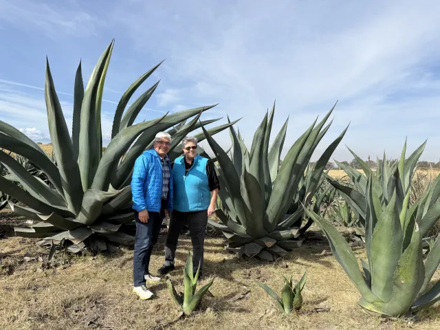 Sam and Glenda pose in front of agave plants that are taller than they are