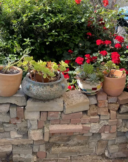 Flower pots and flagstones