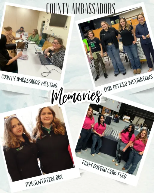 Ambassadors website.PNG