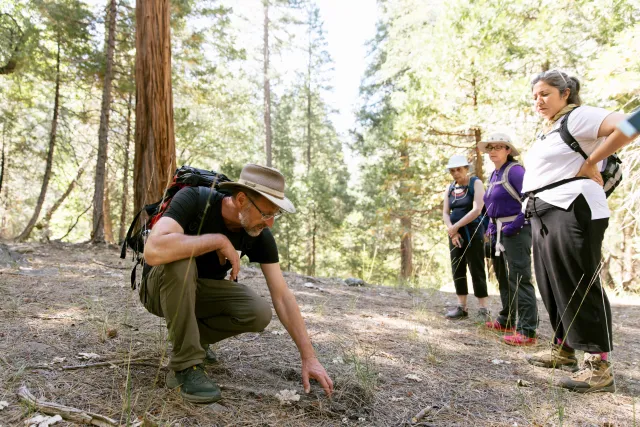 Three people watch a crouched man observe the ground
