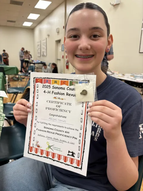 fashion website.jpeg