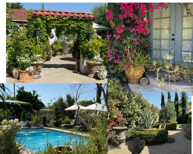 pictures of the Holland villa garden