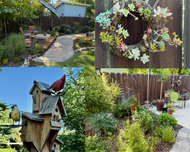 pictures from the memory garden