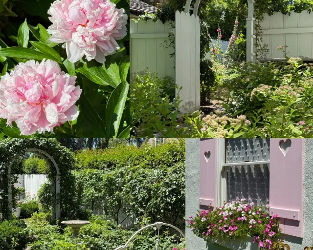pink garden pictures