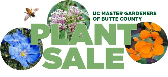 UC Master Gardeners of Butte County Plant Sale