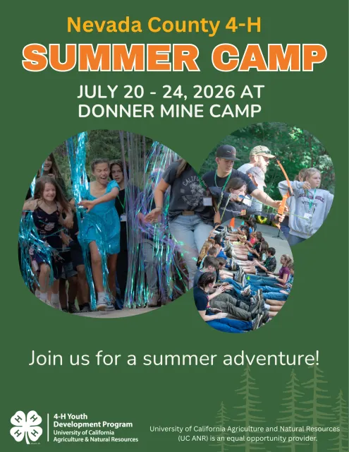 You can register for 2026 Nevada County 4-H Summer Camp now!