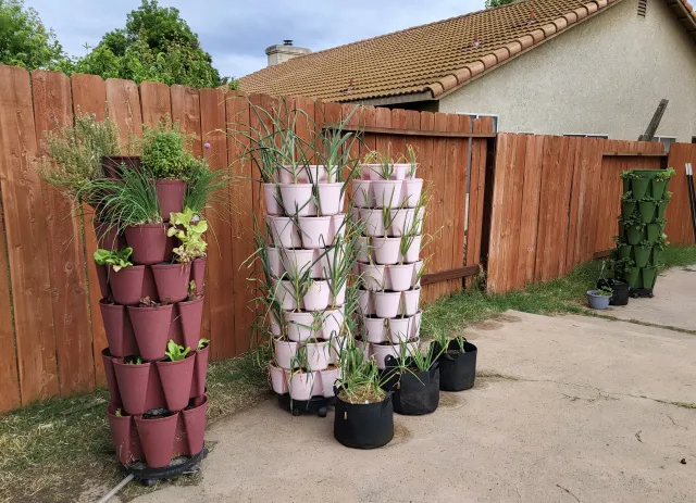 Los Banos backyard vegetable garden with 4 tower/vertical planting systems and 4 grow bags