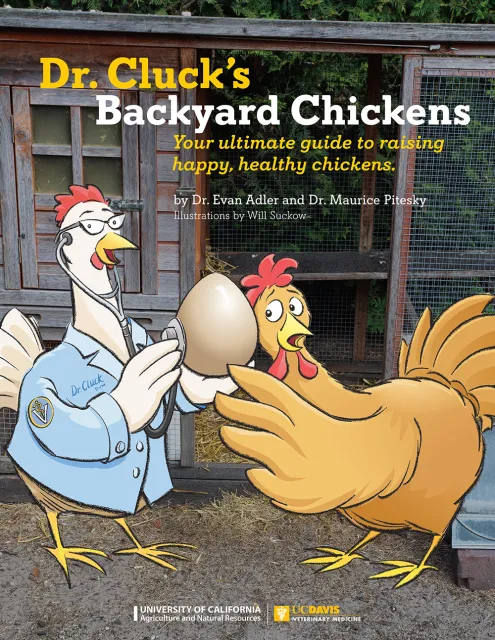 "Dr. Cluck's Backyard Chickens. Your ultimate guide to raising happy, healthy chickens. By Dr. Evan Adler and Dr. Maurice Pitesky, Illustrations by Will Suckow." Two cartoon chickens. One listens through a stethoscope held against an egg as the other presses her ear against the other side of the egg