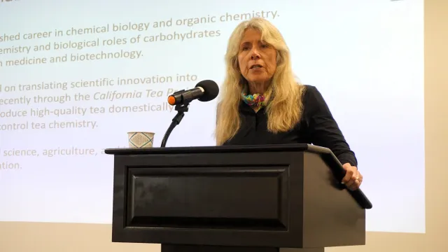Woman with long whitish-blonde hair speaks at a podium with her slide presentation on the screen behind her