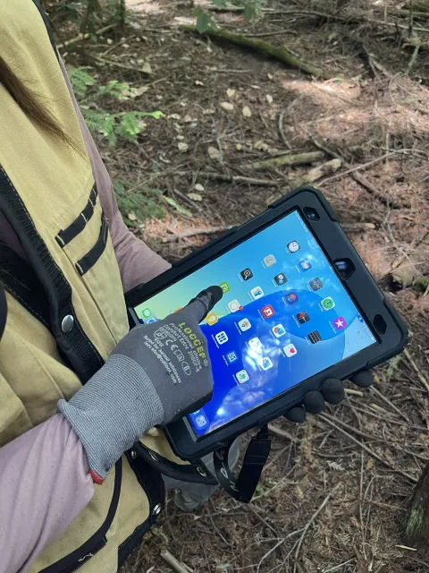 A forester uses geospatial technology on a tablet in the field.