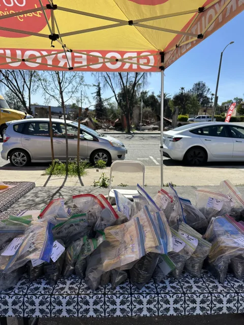 Dozens of gallon-sized bags of labeled soil samples sitting on a table under a shade canopy.