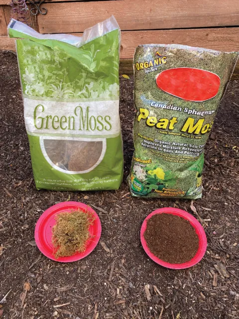 Two bags of potting soil, one labeled Green Moss and the other Canadian Sphagnum Peat Moss, sit behind two red plates holding samples of each soil type.