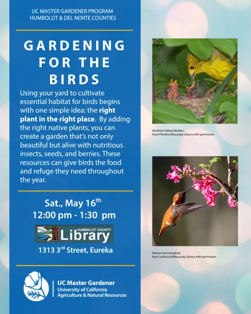 Gardening for the Birds Flyer, Includes description of event and picture of a Northern Yellow Warbler feeding its chicks and a Rufous Hummingbird visiting a pink flower.w 