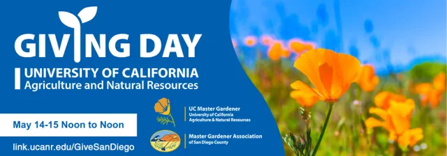 Giving Day logo with words "Giving Day, University of California Agriculture and Natural Resources. May 14-15 Noon to Noon." Logos of UC Master Gardener Program and Master Gardener Association of San Diego County are to the right. And a closeup of orange poppies against a bright blue sky are to the right also.