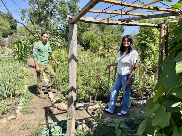 Two people standing in a garden