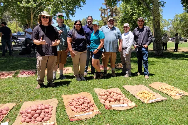 Leonel Jimenez (center) smiles with the potato variety trial team as potatoes are displayed on burlap sacks on the grass