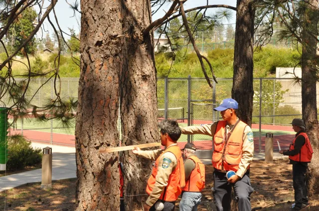 Tree School participants use a Tree Stick to measure tree diameter.