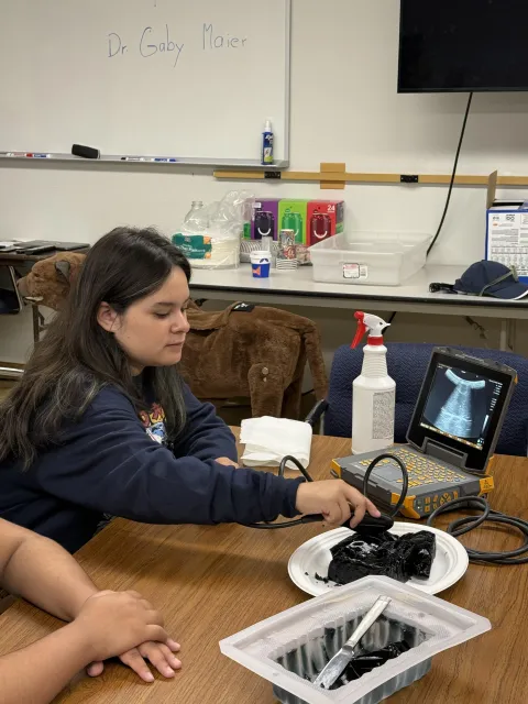 Intern sits at a table practicing ultrasound on a jello mold