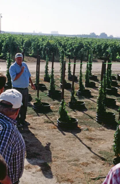 Man stands beside grapevine test plot. A few people are in the foreground