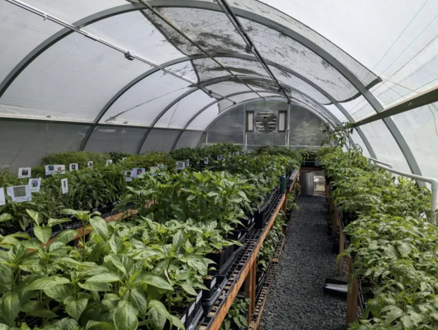 Hoop house
