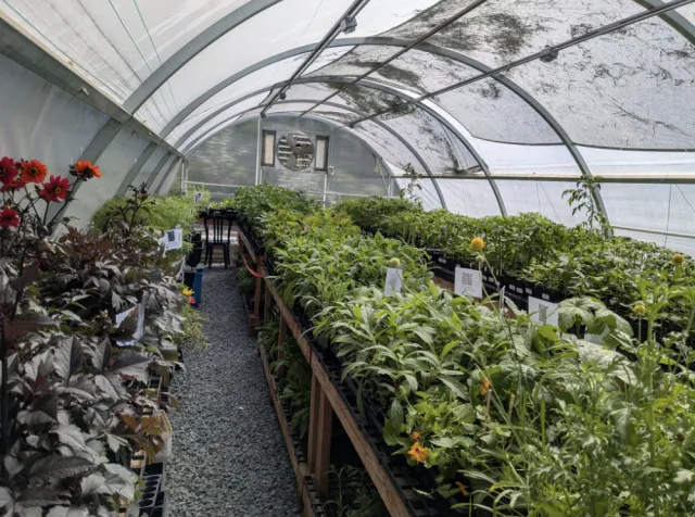 Hoop house