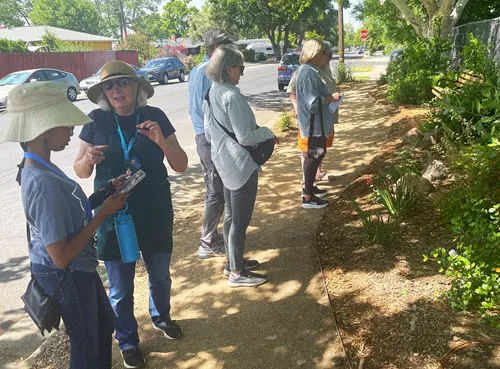 UC Master Gardener volunteers answered questions