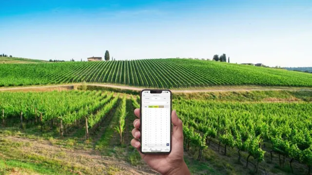 An app on a mobile phone gathers and presents data on vine health and yield from a vineyard