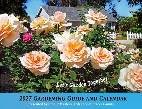 2027 Calendar - Front Cover