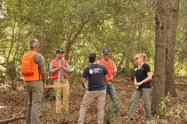 Forest stewardship field day group gathers in a grove of oak trees.