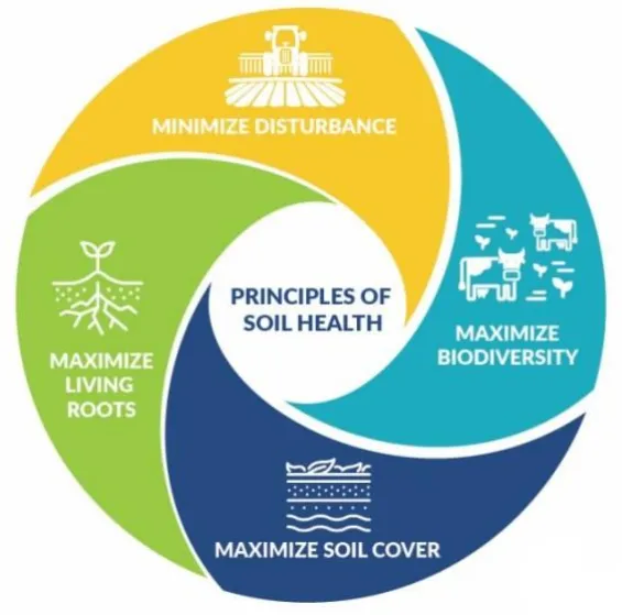 Principles of Soil Health graphic