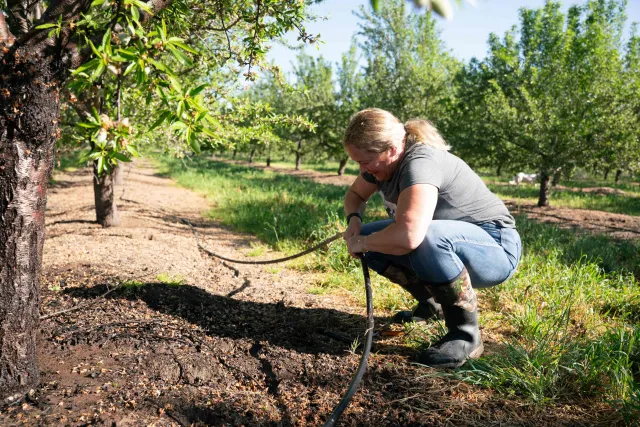 Fresno County farmer repairs a leak in her irrigation line