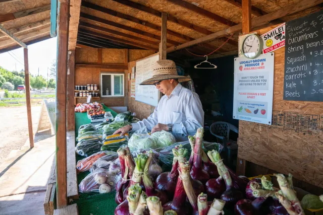 Merced County farmer prepares his harvest for sale at a farm stand