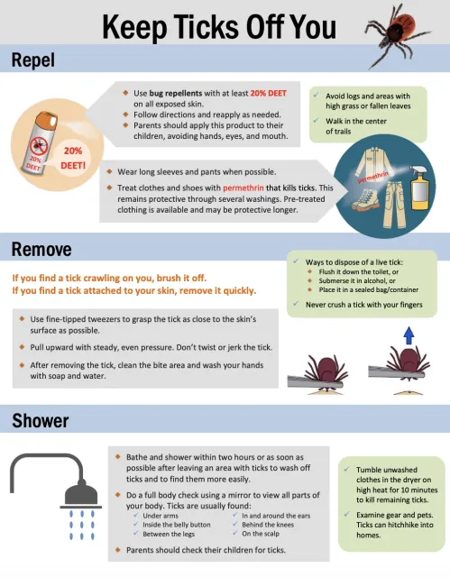 Ticks infographic