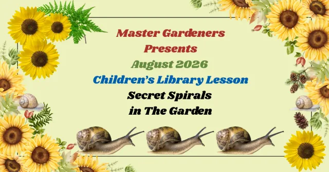 Spiral in the garden include snails, sunflowers & cones