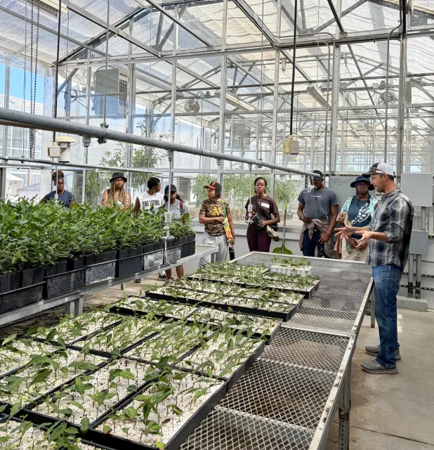 Eight people look at tea plant starts in a greenhouse as a man speaks