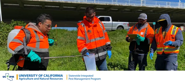 People in protective clothing administer herbicides