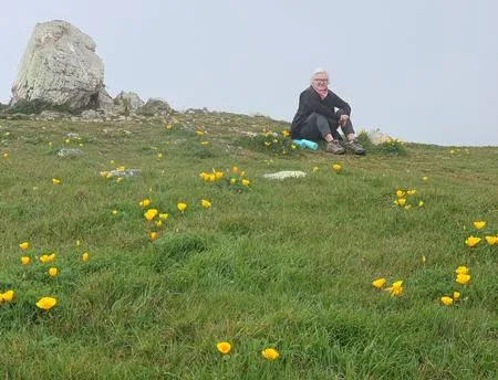 person sitting in a field of coastal California poppies