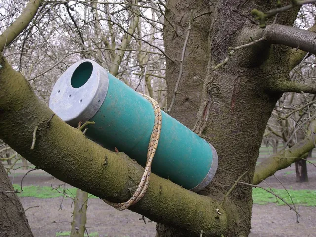 photo of a bait station tied to a treebranch
