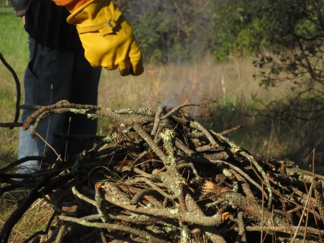 Burn pile with a person's hand resting on top.