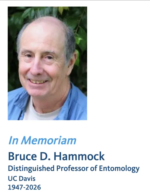 UC Davis Distinguished Professor Bruce Hammock