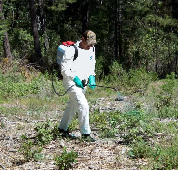 Man sprays herbicide in a forest.